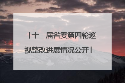 十一届省委第四轮巡视整改进展情况公开
