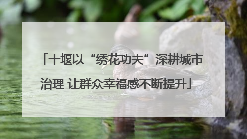 十堰以“绣花功夫”深耕城市治理 让群众幸福感不断提升