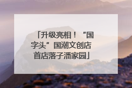 升级亮相！“国字头”国潮文创店首店落子潘家园