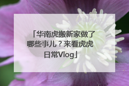 华南虎搬新家做了哪些事儿？来看虎虎日常Vlog