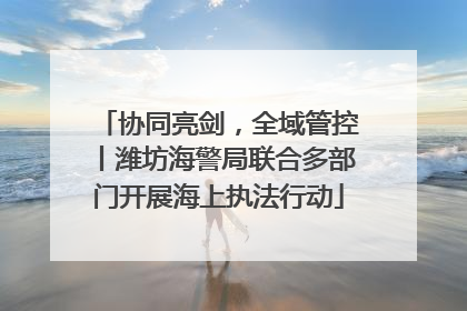 协同亮剑，全域管控丨潍坊海警局联合多部门开展海上执法行动