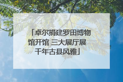 卓尔捐建罗田博物馆开馆 三大展厅展千年古县风雅