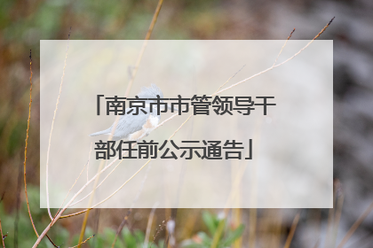 南京市市管领导干部任前公示通告