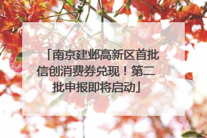 南京建邺高新区首批信创消费券兑现！第二批申报即将启动