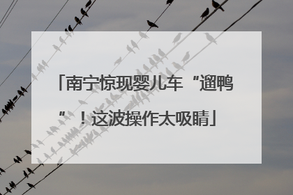 南宁惊现婴儿车“遛鸭”！这波操作太吸睛