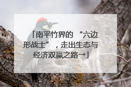 南平竹界的 “六边形战士”，走出生态与经济双赢之路→