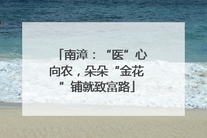 南漳：“医”心向农，朵朵“金花”铺就致富路