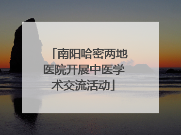 南阳哈密两地医院开展中医学术交流活动
