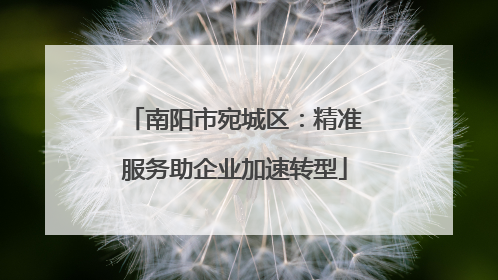 南阳市宛城区：精准服务助企业加速转型