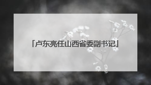 卢东亮任山西省委副书记