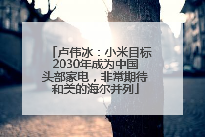 卢伟冰：小米目标2030年成为中国头部家电，非常期待和美的海尔并列