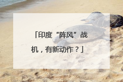 印度“阵风”战机，有新动作？