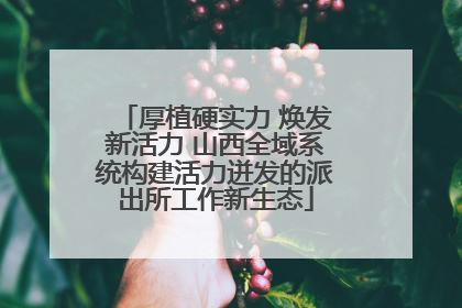 厚植硬实力 焕发新活力 山西全域系统构建活力迸发的派出所工作新生态
