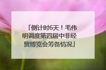 倒计时6天！毛伟明调度第四届中非经贸博览会筹备情况