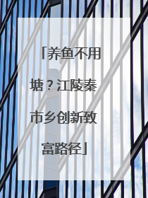 养鱼不用塘？江陵秦市乡创新致富路径