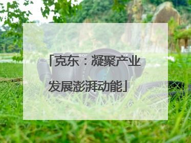 克东：凝聚产业发展澎湃动能