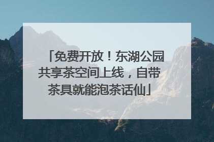 免费开放！东湖公园共享茶空间上线，自带茶具就能泡茶话仙