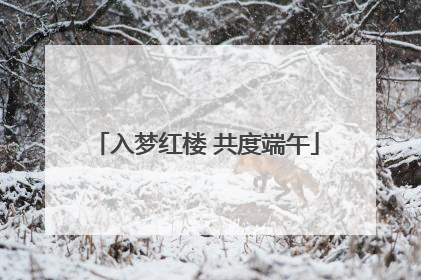 入梦红楼 共度端午