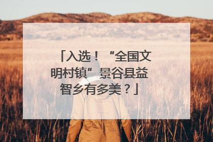 入选！“全国文明村镇”景谷县益智乡有多美？