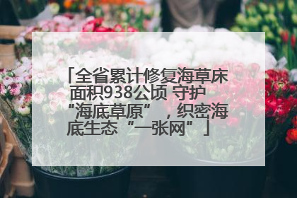 全省累计修复海草床面积938公顷 守护“海底草原”，织密海底生态“一张网”