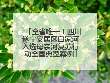 全省唯一！四川遂宁安居区白家河入选母亲河复苏行动全国典型案例