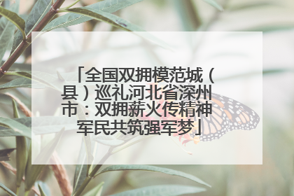 全国双拥模范城（县）巡礼河北省深州市：双拥薪火传精神 军民共筑强军梦