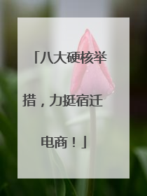 八大硬核举措，力挺宿迁电商！