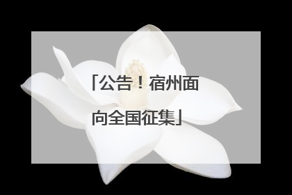 公告！宿州面向全国征集