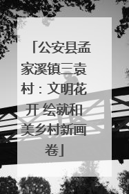 公安县孟家溪镇三袁村：文明花开 绘就和美乡村新画卷