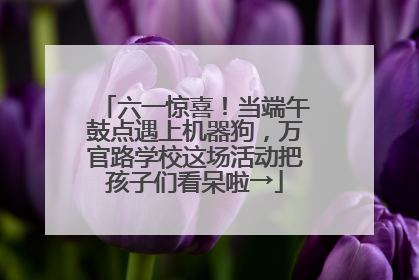 六一惊喜！当端午鼓点遇上机器狗，万官路学校这场活动把孩子们看呆啦→