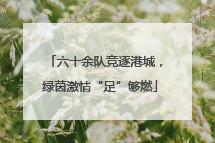 六十余队竞逐港城，绿茵激情“足”够燃