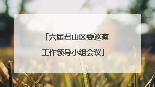 六届君山区委巡察工作领导小组会议