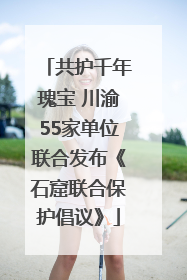共护千年瑰宝 川渝55家单位联合发布《石窟联合保护倡议》