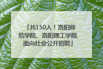 共150人！洛阳师范学院、洛阳理工学院面向社会公开招聘