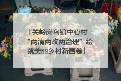 关岭岗乌镇中心村：“两清两改两治理”绘就美丽乡村新画卷