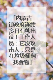 内蒙古一镇政府连续多日有熊出没！工作人员：它没攻击人，只是在垃圾桶翻找食物
