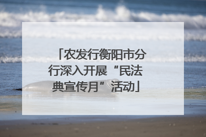 农发行衡阳市分行深入开展“民法典宣传月”活动
