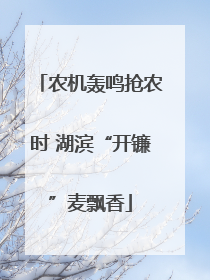 农机轰鸣抢农时 湖滨“开镰”麦飘香