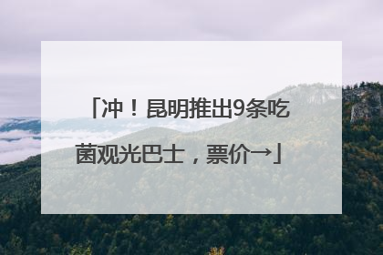 冲！昆明推出9条吃菌观光巴士，票价→