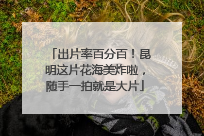 出片率百分百！昆明这片花海美炸啦，随手一拍就是大片