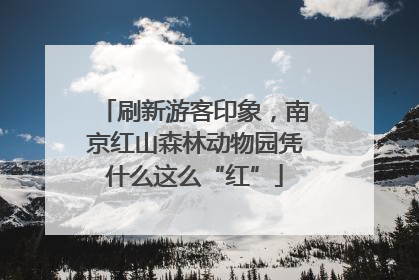 刷新游客印象，南京红山森林动物园凭什么这么“红”