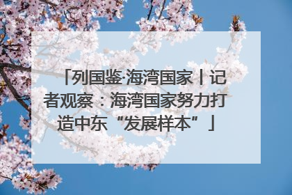 列国鉴·海湾国家丨记者观察：海湾国家努力打造中东“发展样本”