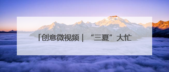 创意微视频｜“三夏”大忙正当时 麦浪滚滚穗飘香