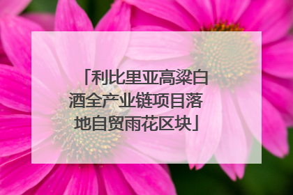 利比里亚高粱白酒全产业链项目落地自贸雨花区块