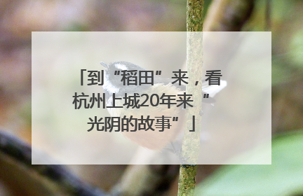 到“稻田”来，看杭州上城20年来“光阴的故事”