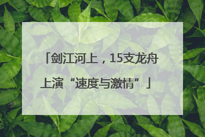 剑江河上，15支龙舟上演“速度与激情”