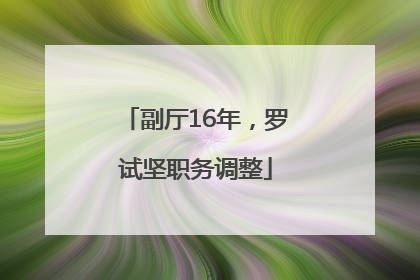 副厅16年，罗试坚职务调整