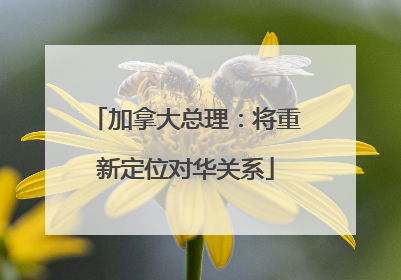 加拿大总理：将重新定位对华关系