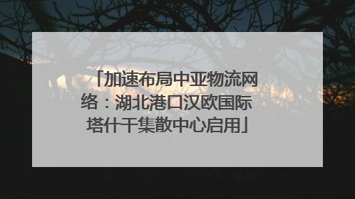 加速布局中亚物流网络：湖北港口汉欧国际塔什干集散中心启用
