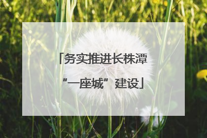 务实推进长株潭“一座城”建设